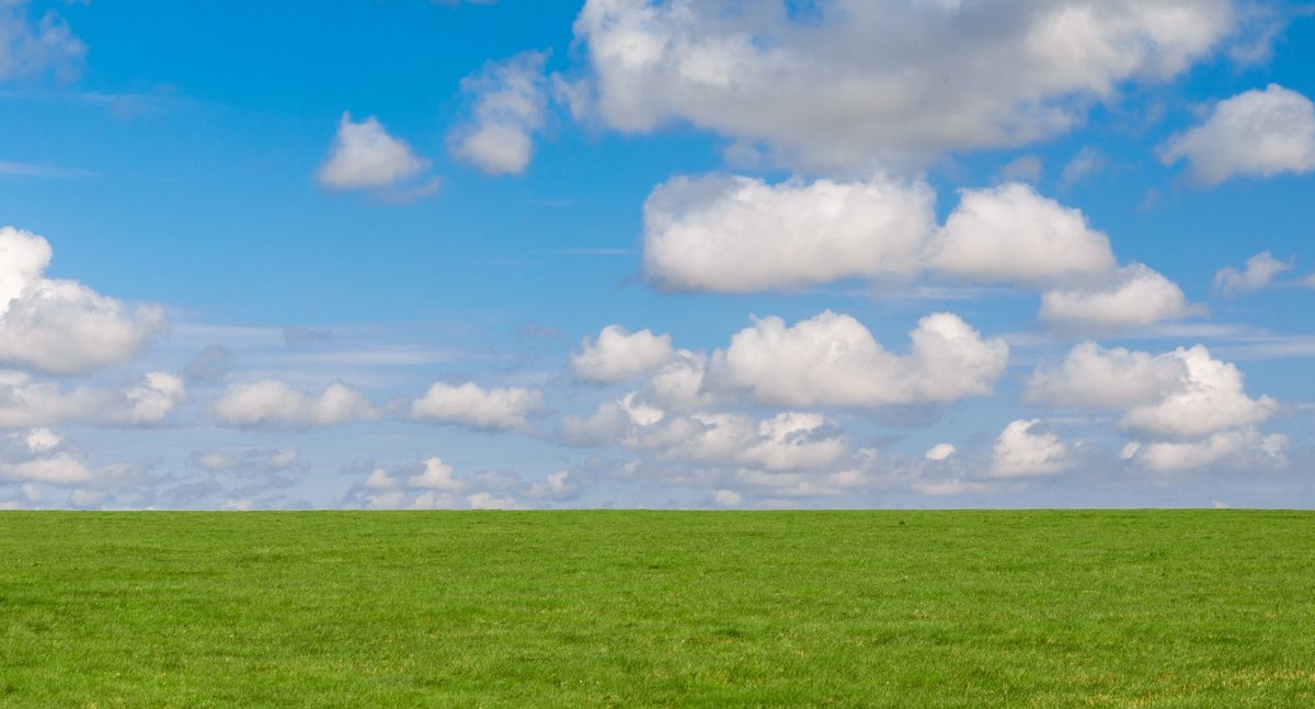 grass-and-sky-background-1568362173kTK.jpg
